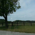 There are fences everywhere in Franklin Tennessee. 