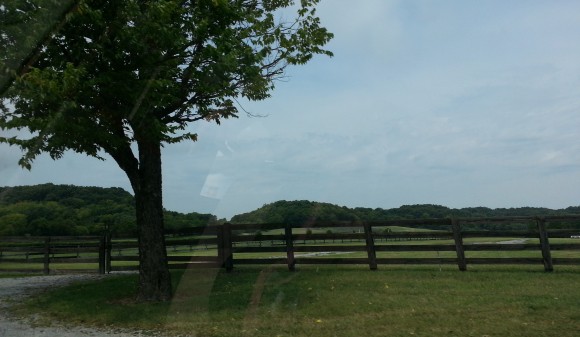 There are fences everywhere in Franklin Tennessee.