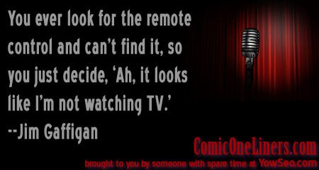 Losing the Remote Control, A Jim Gaffigan Quote